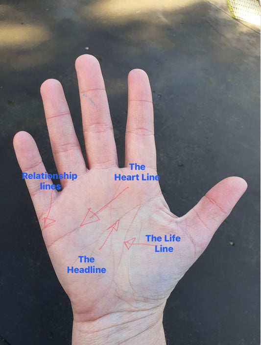 Palm reading